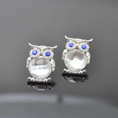 FSUNION Women's Rhinestones Crystal Owl Necklace Pendant Sweater Chains Jewelry Clothing Accessories Gifts 2025